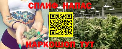 прущие грибы Чебоксары