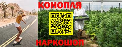 прущие грибы Чебоксары