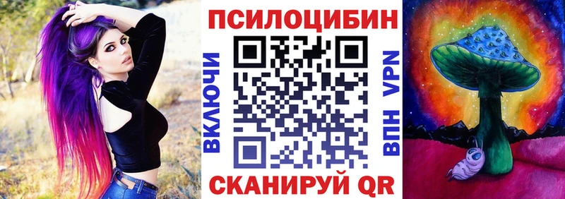 Псилоцибиновые грибы Psilocybine cubensis  Скопин 