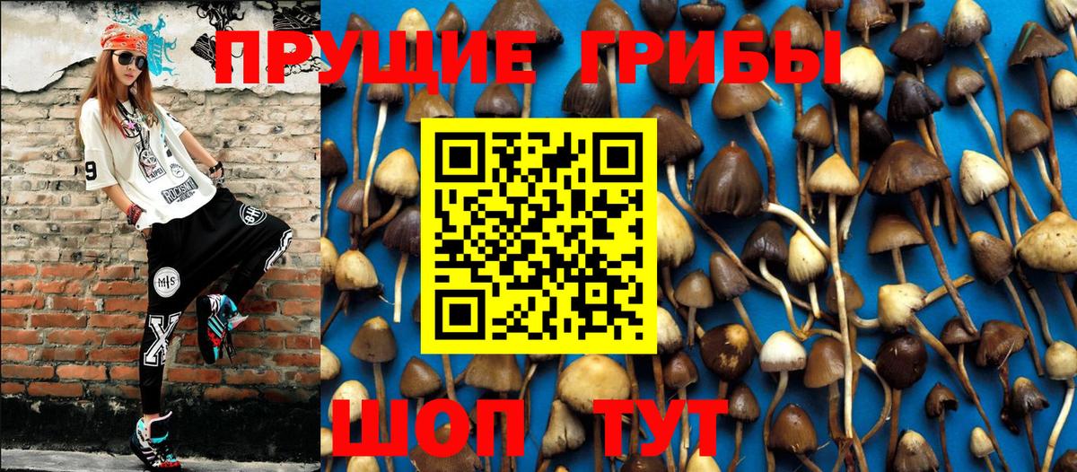 Галлюциногенные грибы Psilocybine cubensis  Вход с VPN  Скопин 