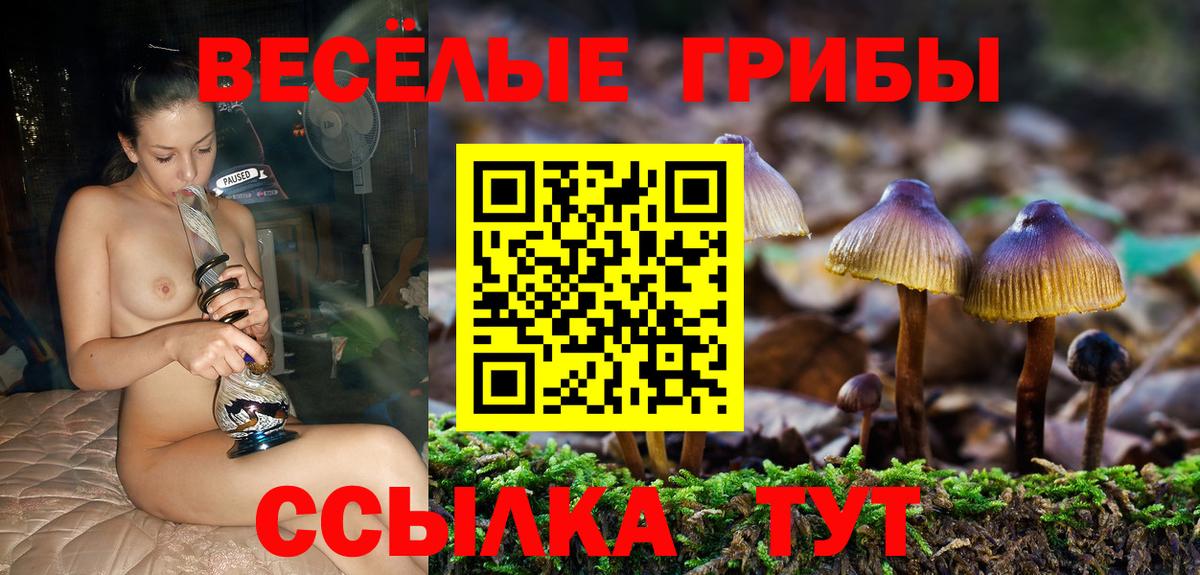 Галлюциногенные грибы прущие грибы Скопин